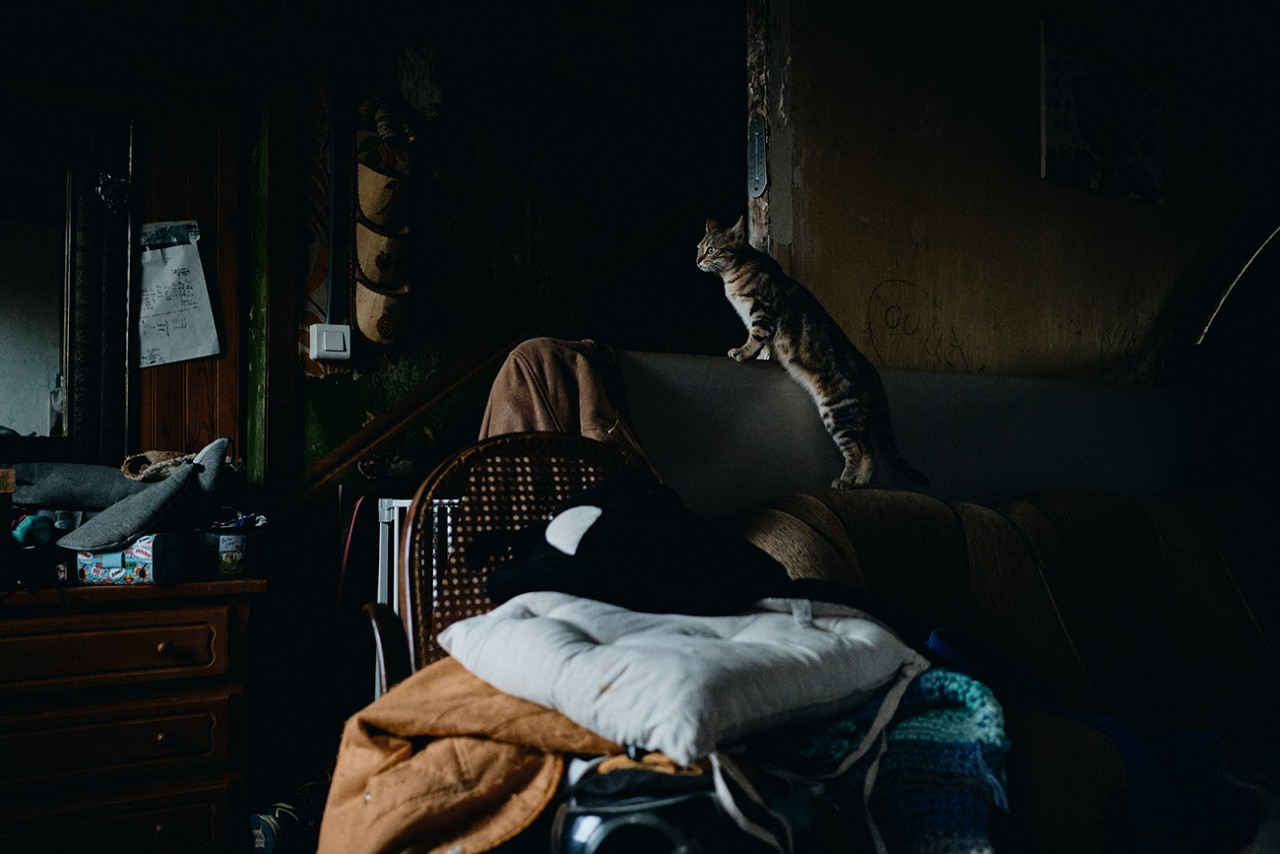 Chat à la lumière de la porte